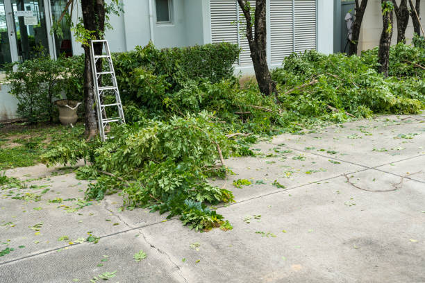 Best Seasonal Cleanup (Spring/Fall)  in Saratoga Springs, NY