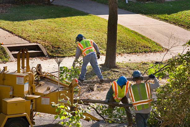 Best Pest Control for Lawns  in Saratoga Springs, NY