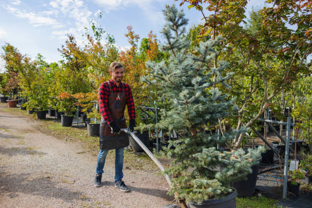 Best Weed Control  in Saratoga Springs, NY
