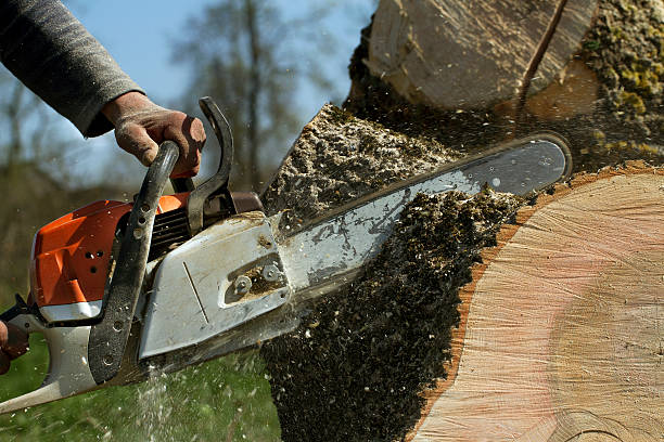 Leaf Removal in Saratoga Springs, NY